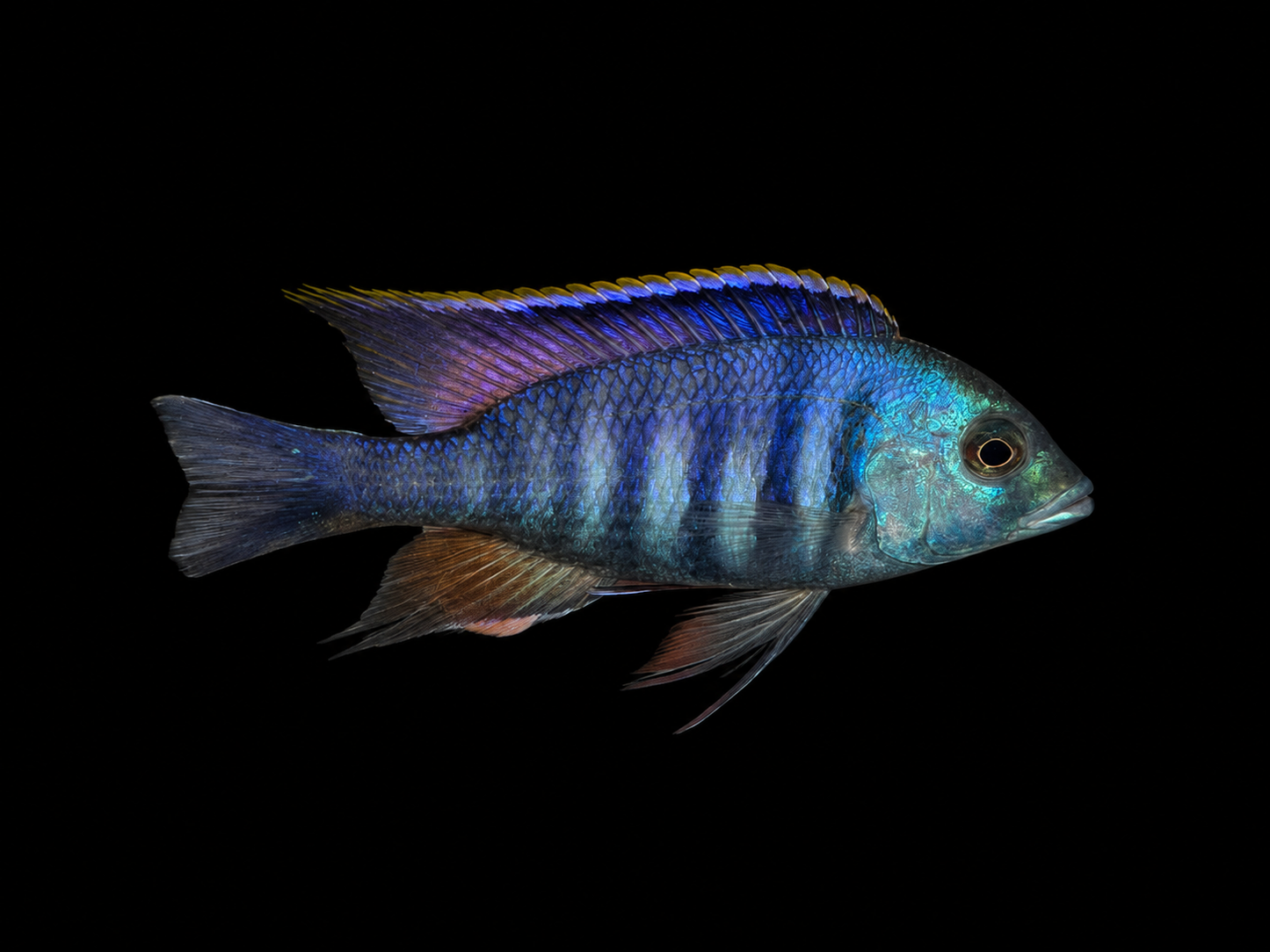 Deep Water Hap